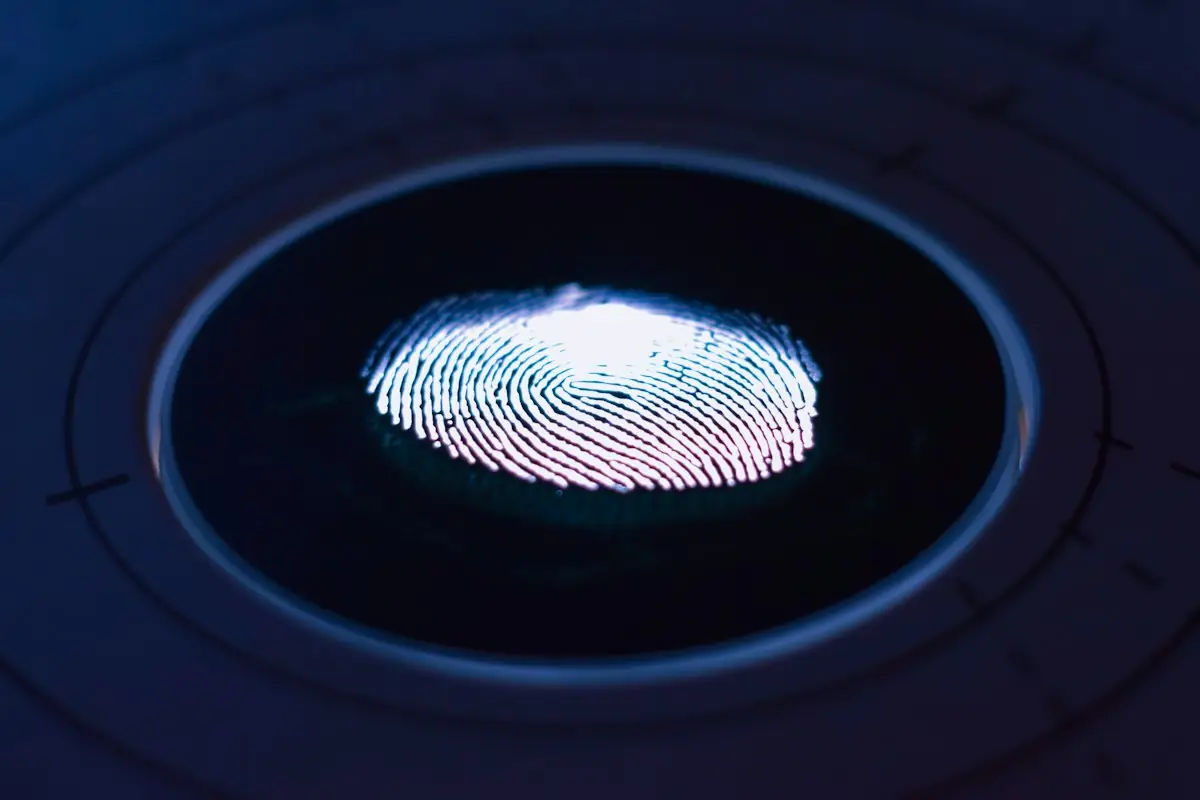 A glowing fingerprint on a dark scanner