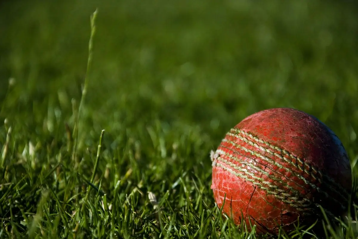 A red cricket ball in the grass
